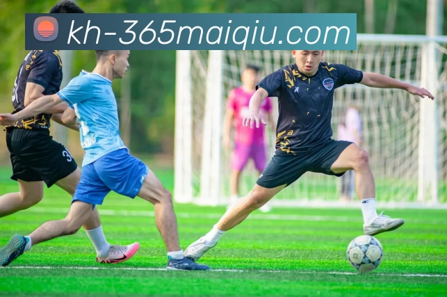 买球官网APP 封面图